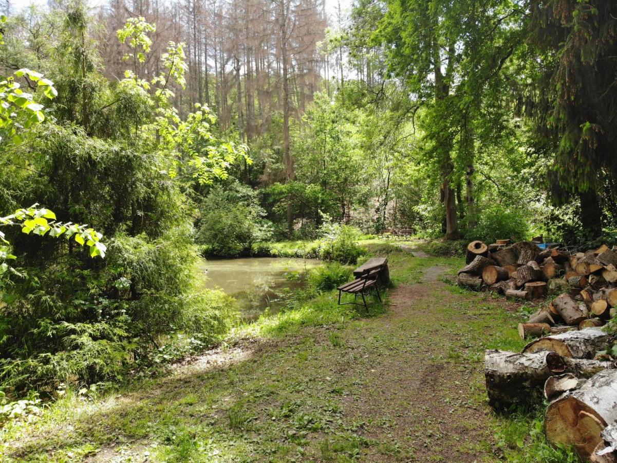 Zur Margarethenmuehle - Landgasthof Und Waldhotel